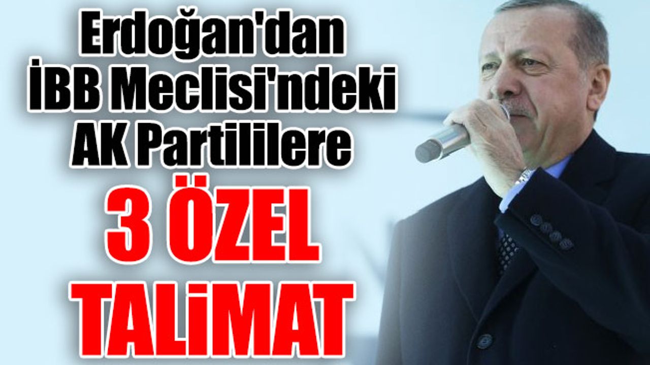 Erdoğan'dan İBB Meclisi'ndeki AK Partililere 3 Özel Talimat