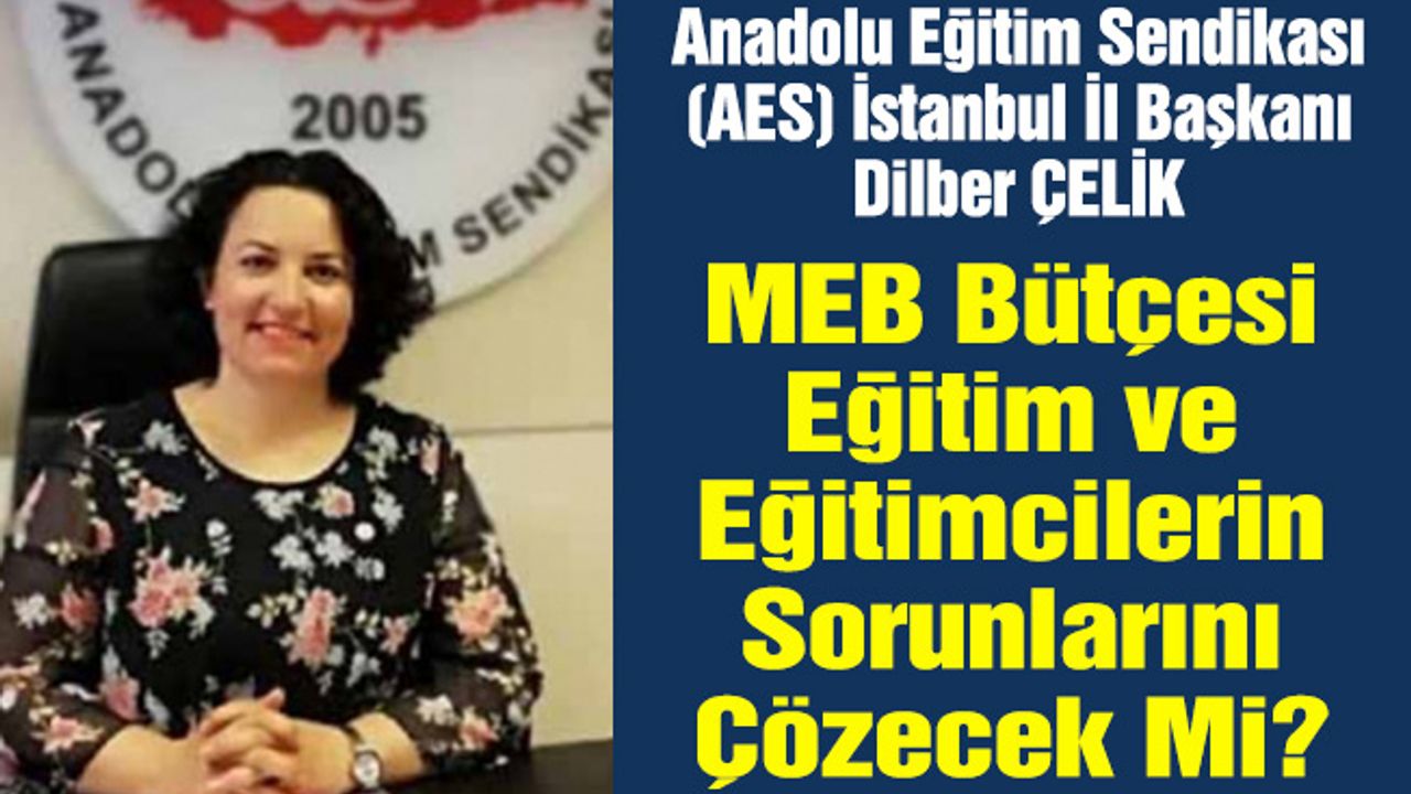 MEB Bütçesi Eğitim Ve Eğitimcilerin Sorunlarını Çözecek Mi?