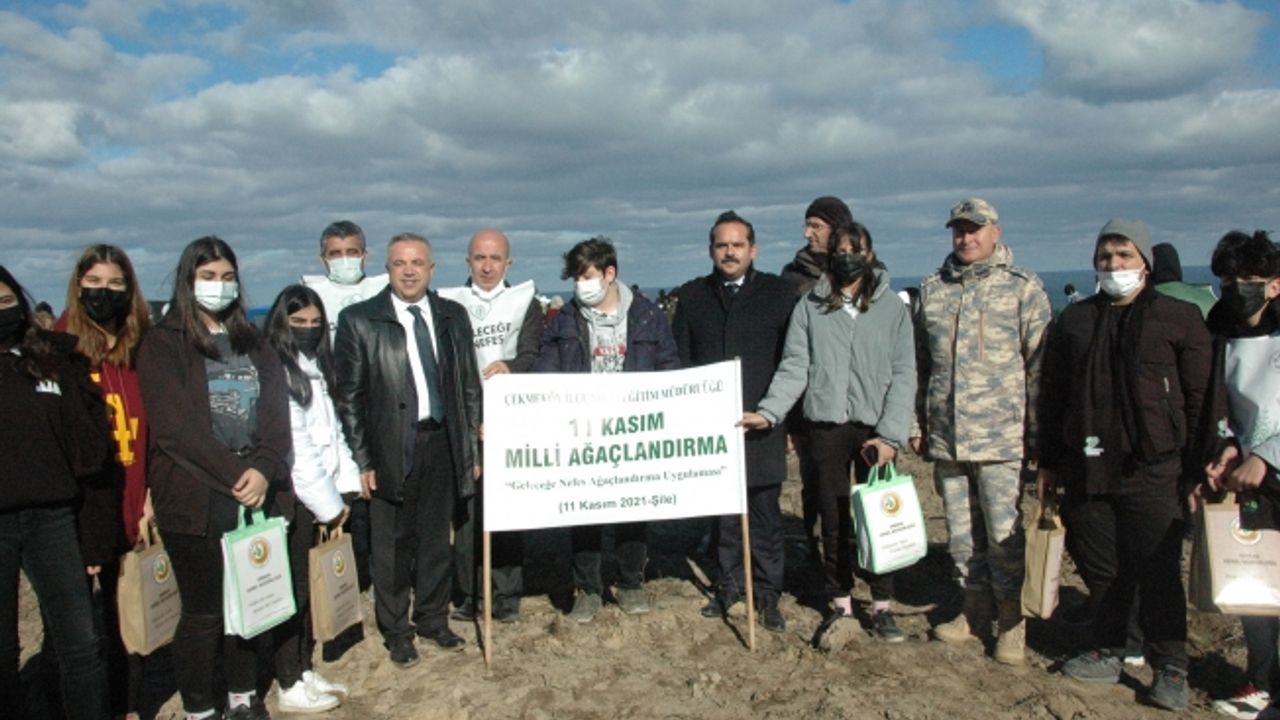Şile'de, Eski Maden Ocağı Alanına Fidan Dikildi