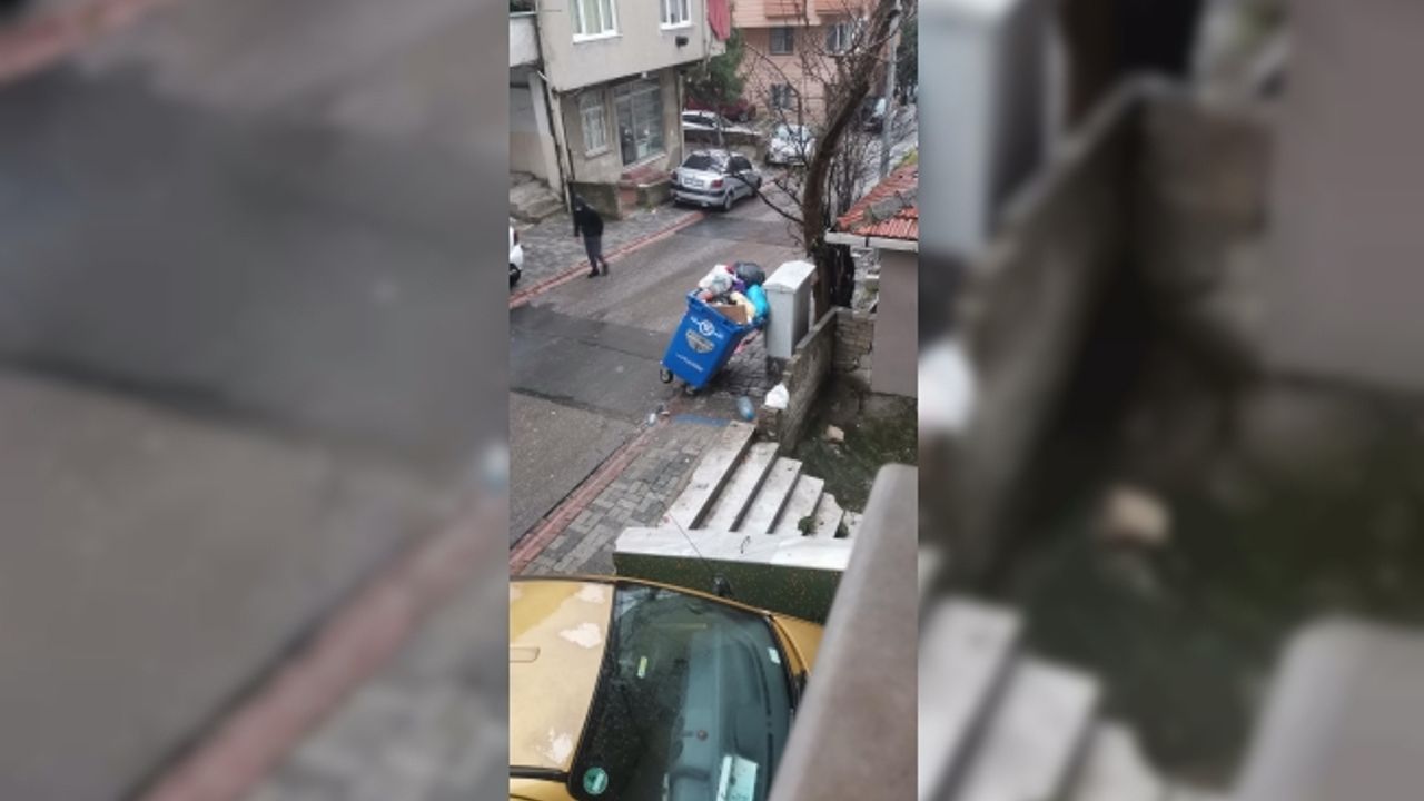 Bu Çöp Konteynırını Hangi Akıllı Buraya Koymuş?